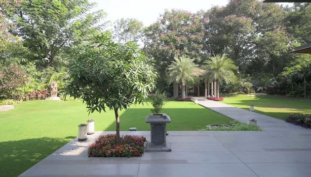 The Garden
