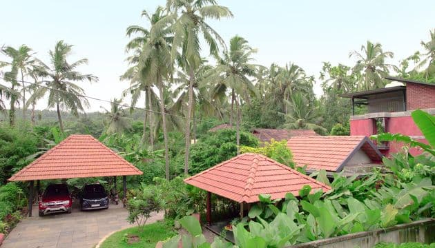 Roofing & Elevation