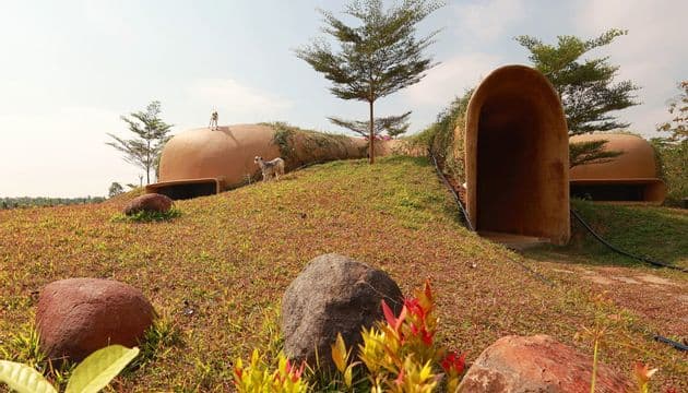Site Landscaping