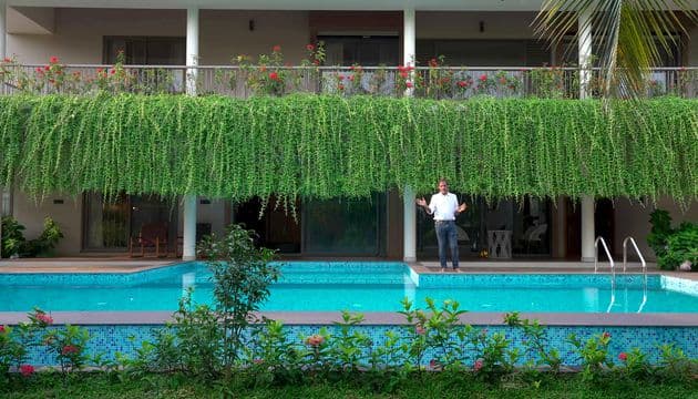 The Swimming Pool