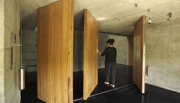 Pivot Door