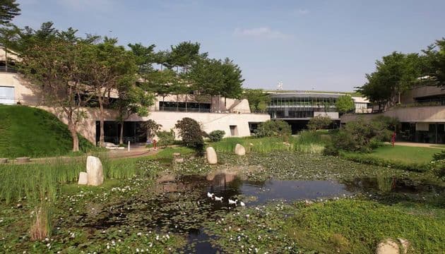 Bio Lake