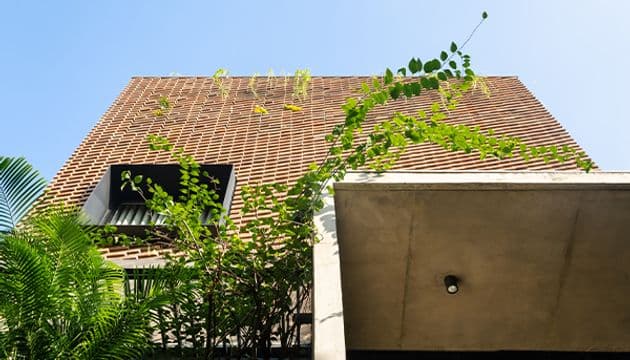 Aarjav