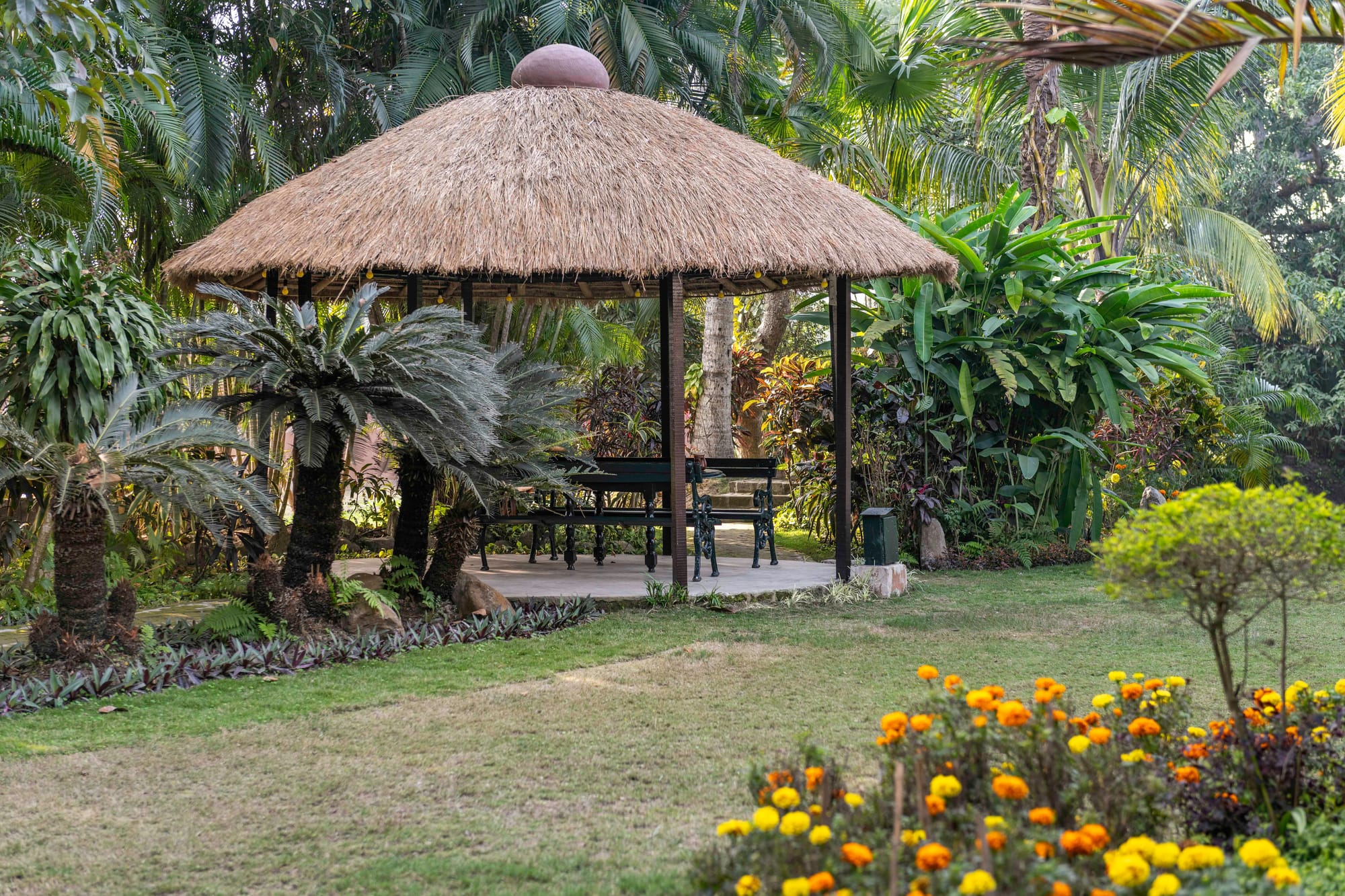Tour A 1950s Bengali Country Home Christened By Satyajit Ray