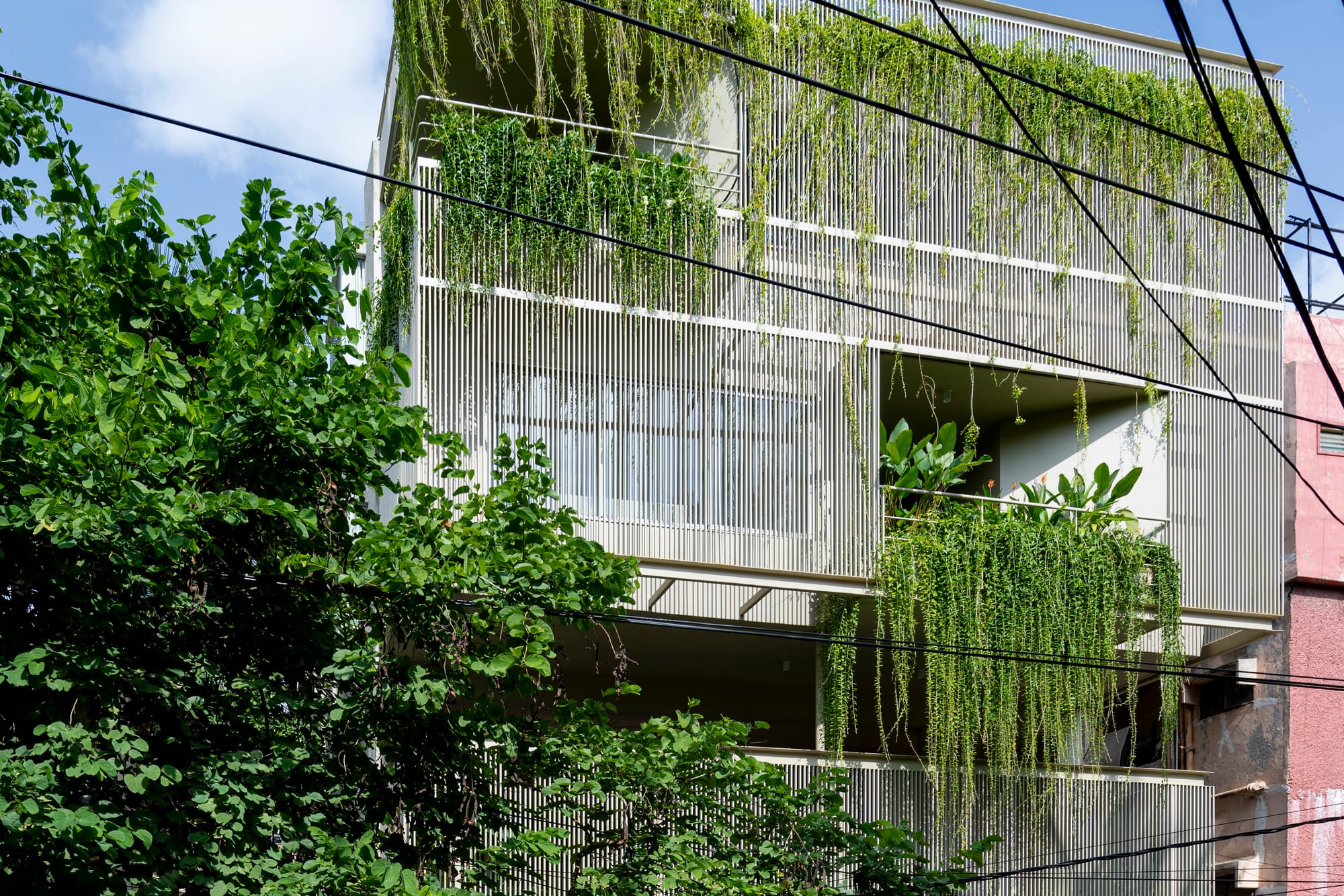A Skylit Home In Hyderabad Where Levels Drift Through Foliage