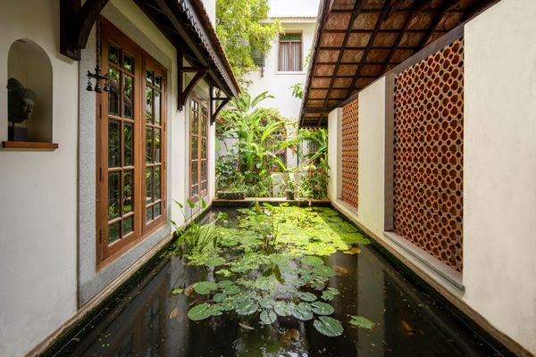 Tranquility Amidst Urban Buzz: Exploring the Rustic Charm of Chennai's Hidden Haven
